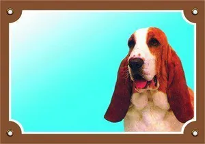 Színes jel Figyelem kutya, Basset Hound